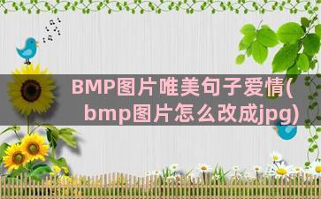 BMP图片唯美句子爱情(bmp图片怎么改成jpg)