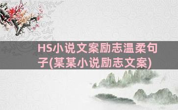 HS小说文案励志温柔句子(某某小说励志文案)