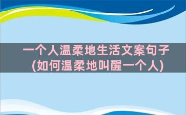 一个人温柔地生活文案句子(如何温柔地叫醒一个人)