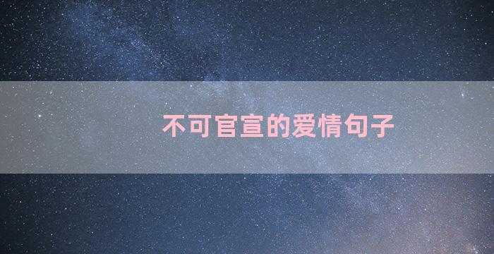 不可官宣的爱情句子