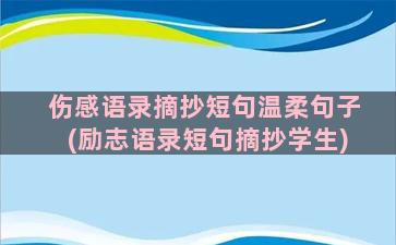 伤感语录摘抄短句温柔句子(励志语录短句摘抄学生)