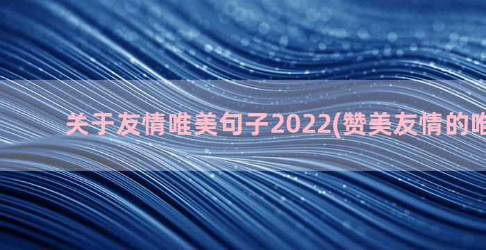 关于友情唯美句子2022(赞美友情的唯美句子)