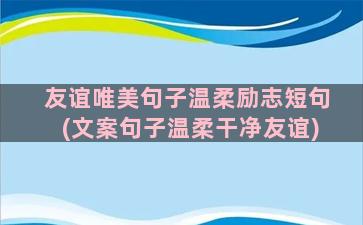 友谊唯美句子温柔励志短句(文案句子温柔干净友谊)