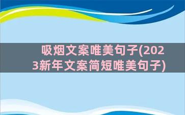 吸烟文案唯美句子(2023新年文案简短唯美句子)