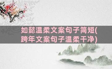 如懿温柔文案句子简短(跨年文案句子温柔干净)