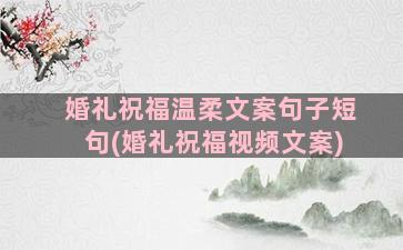 婚礼祝福温柔文案句子短句(婚礼祝福视频文案)