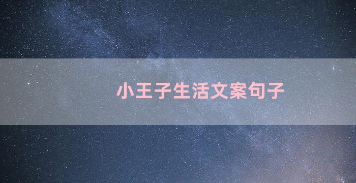 小王子生活文案句子