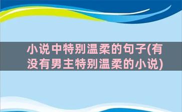 小说中特别温柔的句子(有没有男主特别温柔的小说)