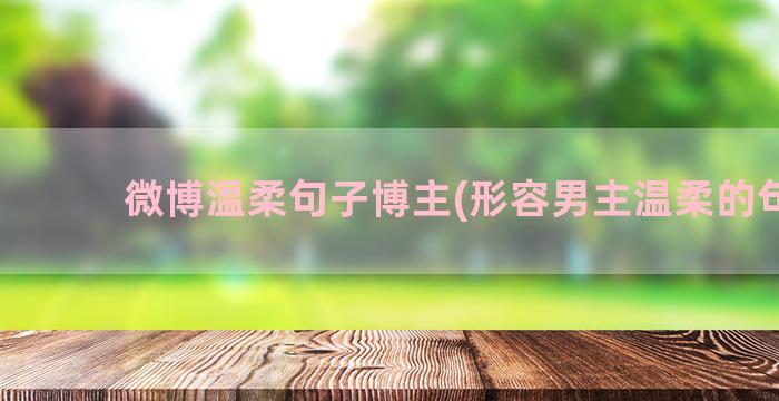 微博温柔句子博主(形容男主温柔的句子)