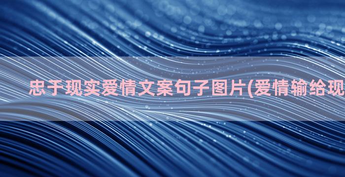 忠于现实爱情文案句子图片(爱情输给现实的文案)