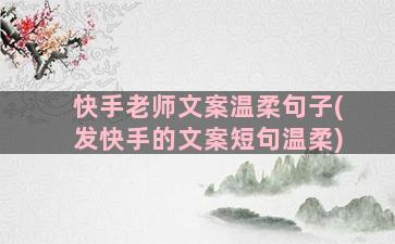 快手老师文案温柔句子(发快手的文案短句温柔)