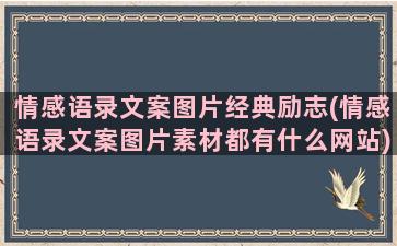 情感语录文案图片经典励志(情感语录文案图片素材都有什么网站)