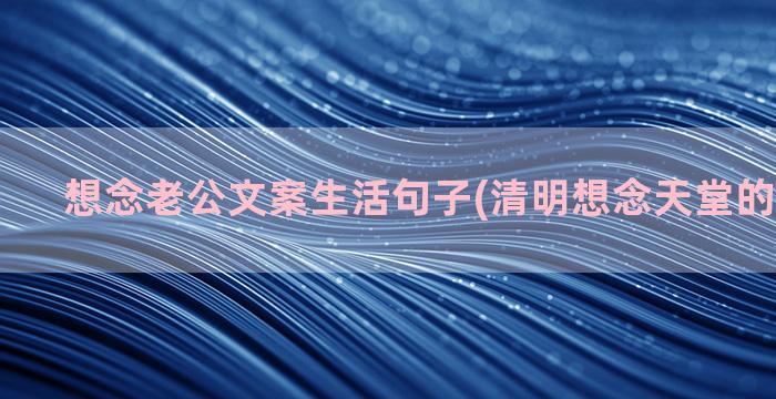 想念老公文案生活句子(清明想念天堂的老公文案)