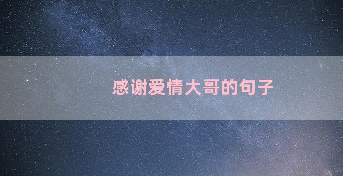 感谢爱情大哥的句子