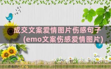 成交文案爱情图片伤感句子(emo文案伤感爱情图片)