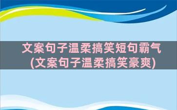 文案句子温柔搞笑短句霸气(文案句子温柔搞笑豪爽)