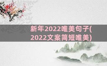 新年2022唯美句子(2022文案简短唯美)