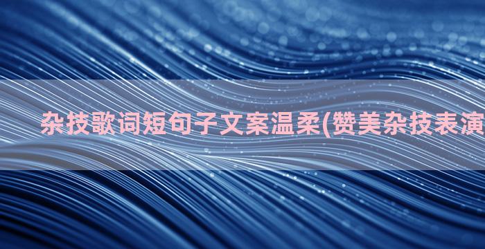 杂技歌词短句子文案温柔(赞美杂技表演的短句子)