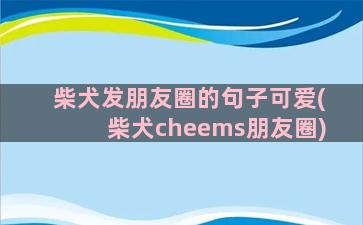 柴犬发朋友圈的句子可爱(柴犬cheems朋友圈)