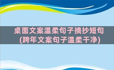 桌面文案温柔句子摘抄短句(跨年文案句子温柔干净)