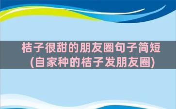 桔子很甜的朋友圈句子简短(自家种的桔子发朋友圈)