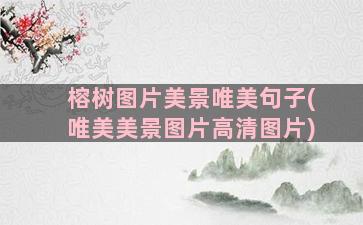 榕树图片美景唯美句子(唯美美景图片高清图片)