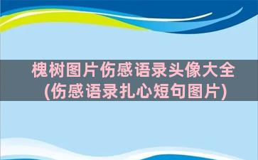 槐树图片伤感语录头像大全(伤感语录扎心短句图片)