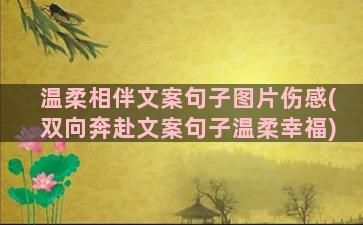 温柔相伴文案句子图片伤感(双向奔赴文案句子温柔幸福)