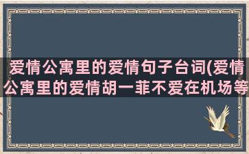 爱情公寓里的爱情句子台词(爱情公寓里的爱情胡一菲不爱在机场等人)