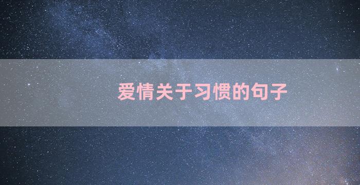 爱情关于习惯的句子