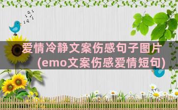 爱情冷静文案伤感句子图片(emo文案伤感爱情短句)