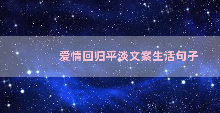 爱情回归平淡文案生活句子