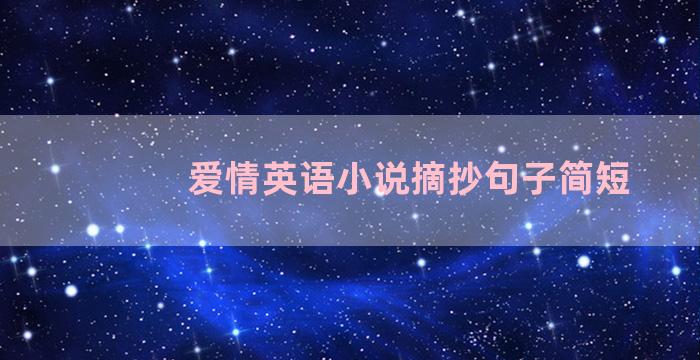 爱情英语小说摘抄句子简短