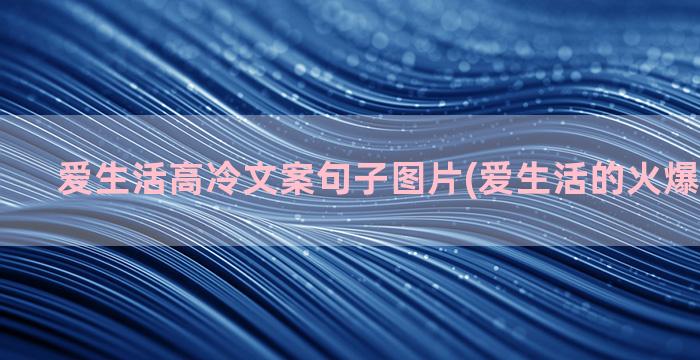 爱生活高冷文案句子图片(爱生活的火爆文案简短)