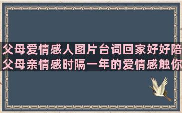 父母爱情感人图片台词回家好好陪父母亲情感时隔一年的爱情感触你都不理我了让女人爱又恨的情感情感语录头像图片带字女(父母爱情感人台词)