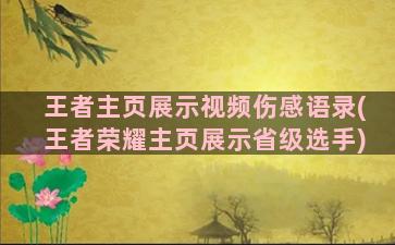 王者主页展示视频伤感语录(王者荣耀主页展示省级选手)