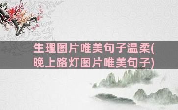 生理图片唯美句子温柔(晚上路灯图片唯美句子)