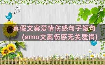 真假文案爱情伤感句子短句(emo文案伤感无关爱情)