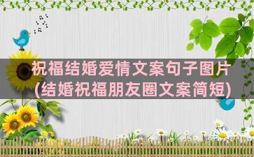 祝福结婚爱情文案句子图片(结婚祝福朋友圈文案简短)