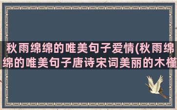 秋雨绵绵的唯美句子爱情(秋雨绵绵的唯美句子唐诗宋词美丽的木槿)