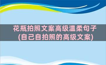 花瓶拍照文案高级温柔句子(自己自拍照的高级文案)