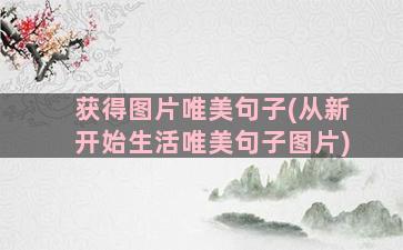 获得图片唯美句子(从新开始生活唯美句子图片)