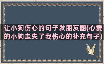 让小狗伤心的句子发朋友圈(心爱的小狗走失了我伤心的补充句子)