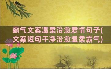 霸气文案温柔治愈爱情句子(文案短句干净治愈温柔霸气)