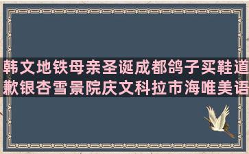 韩文地铁母亲圣诞成都鸽子买鞋道歉银杏雪景院庆文科拉市海唯美语录