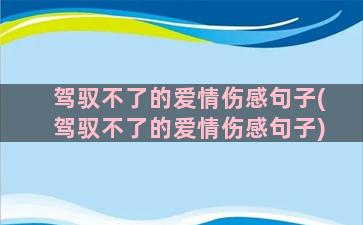 驾驭不了的爱情伤感句子(驾驭不了的爱情伤感句子)